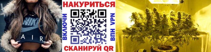 закладка  Баймак  Бошки Шишки SATIVA & INDICA 